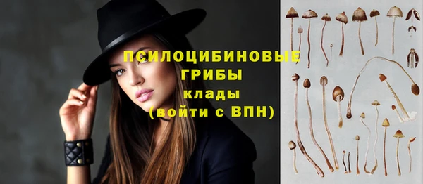 эйфоретик Нефтегорск