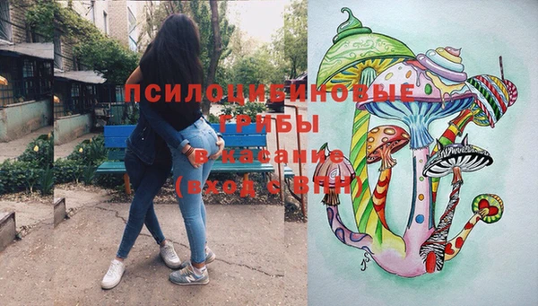 прущие крисы Нефтекумск