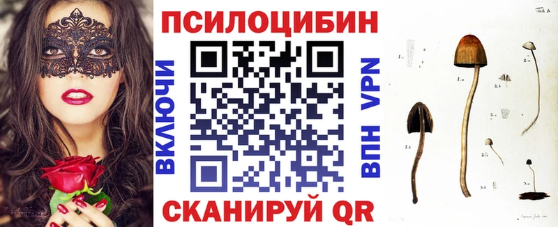 Галлюциногенные грибы Psilocybine cubensis  Электроугли 